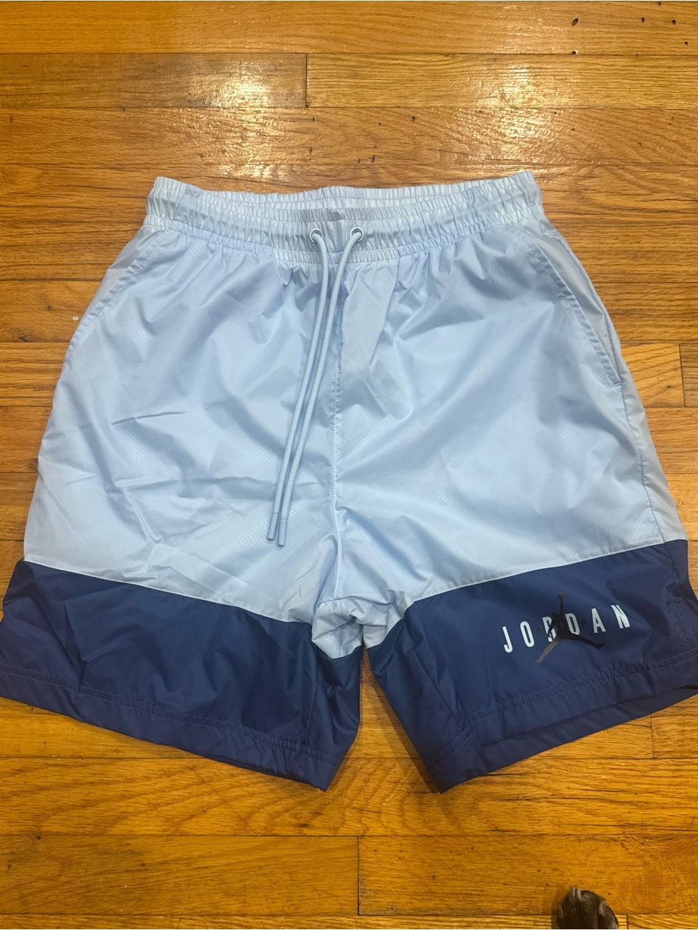 Jordan Men’s Light Blue & Navy Colorblock Swim Trunks/Shorts
